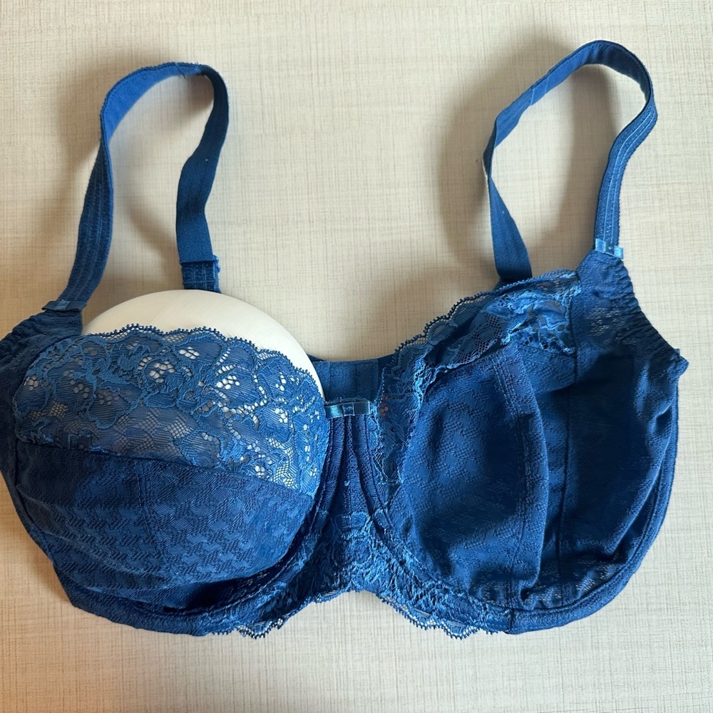 Panache Envy Bra UK 34GG / USJ in Cornflower Blue